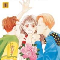 Hana Yori Dango - Tome 01