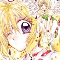 Kamikaze Kaito Jeanne - Tome 03