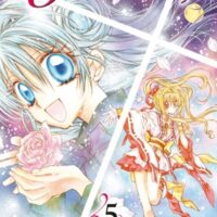 Kamikaze Kaito Jeanne - Tome 05