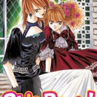 Skip Beat ! Tome 03
