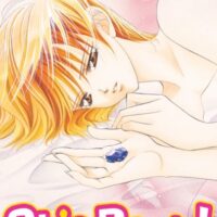 Skip Beat ! Tome 04